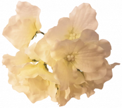 Cvetna glavica hortenzije O 14cm krem umetna