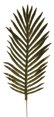 Palmin list zeleni 50cm umjetni
