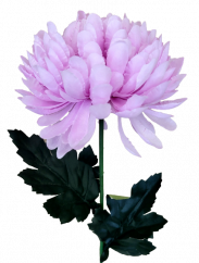 Krizantém a száron Exkluzív lila 60cm művirág