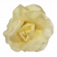 Ruža hlava kvetu O 13cm kremová umelá
