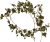Garlands