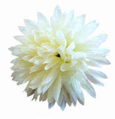 Chryzantéma hlava květu Ø 10cm krémová umělá