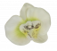 Glava cvijeta orhideja 10cm x 8cm kremasta umjetna - cijena je za pakiranje od 24 kom