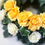Artificial Wreath with Roses, Lilies and accessories Ø 60cm Cream, Yellow