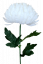 Krizantém a száron Exkluzív fehér 70cm művirág