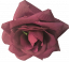 Ruža ranná rosa hlava kvetu O 12cm vínová umelá