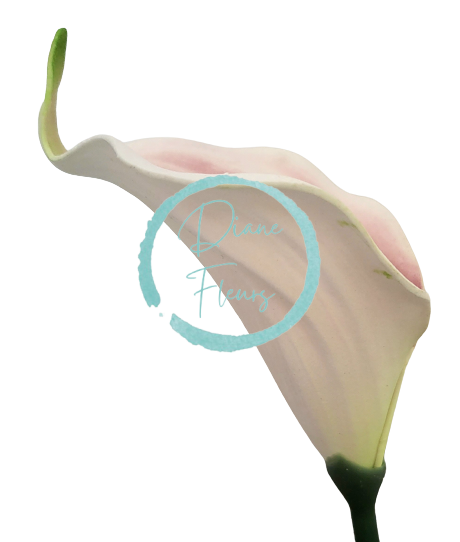 Kwiat kalii z pianki 13cm, kremowy, zielony, różowy sztuczny
