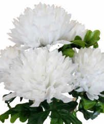 Artificial Chrysanthemums x5 Bouquet 50cm White - Best price