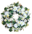 Obroč