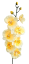 Umělá orchidea kusová 70cm žlutá