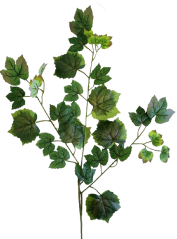 Maple leaf 67cm x 50cm