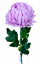 Chryzantema na łodydze Ekskluzywna fioletowa sztuczna 70 cm