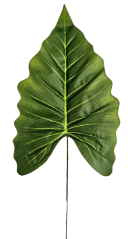 Liść Alocasia sztuczny 44cm x 18cm