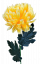 Krizantém a száron Exkluzív sárga 60cm művirág