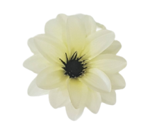 Clematis hlava kvetu Ø 11cm krémová umelá