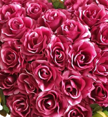 Krásný smuteční věnec "Srdce" z umělých růží 55cm x 55cm