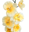 Umělá orchidea kusová 70cm žlutá