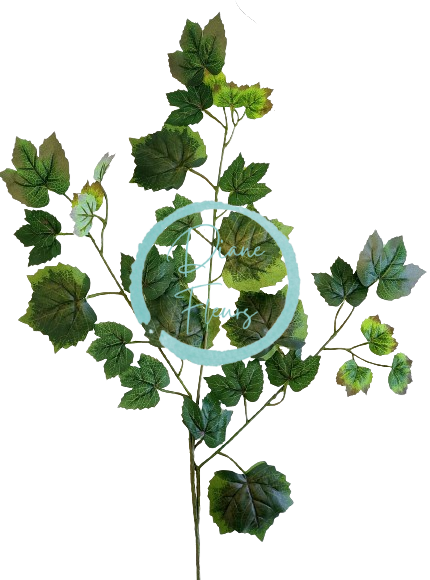 List javor 67cm x 50cm