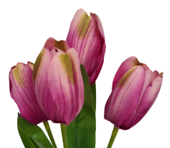 Tulipány kytička x5 31cm fialová