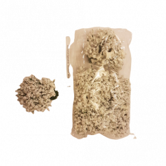 Decorare Gysophila bulgăre de zăpadă (6 buc în pachet - Preț per pachet)