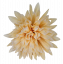 Chryzantéma hlava květu Ø 10cm broskvová umělá