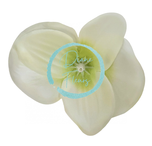 Cvetna glava orhideje 10cm x 8cm krem umetna - cena velja za paket 24 kosov