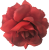 Artificial Rose Head O 3,9 inches (10cm) Red
