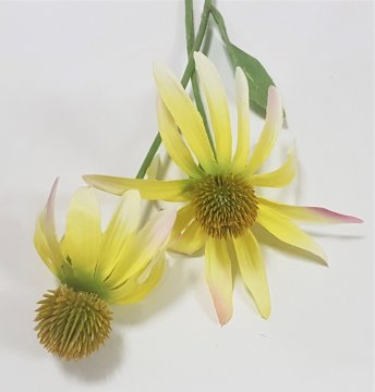 Echinacea - Kvalitní a krásná umělá květina ideální jako dekorace - Materiál - hedvábí