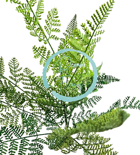 Decorarea artificială ferigă 57cm