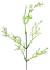 Dekorácia prízdoba Gypsophila zeleň umelá 42cm