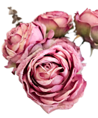 Buchet de trandafiri x9 42cm flori artificiale violet