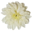 Dahlia hlava kvetu O 12cm biela & kremová umelá