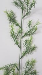 Künstliche Dekoration Asparagus Grün 60cm
