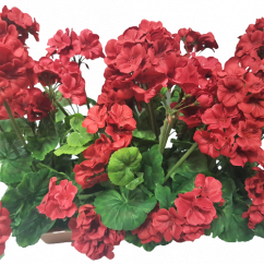 Künstliche Geranien Pelargonien in einem Topf 40cm x 35cm x Höhe 45cm Rot