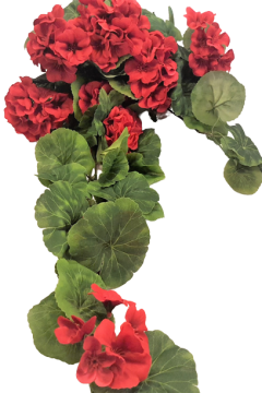 Sztuczne pelargonie - Kolor - różowy