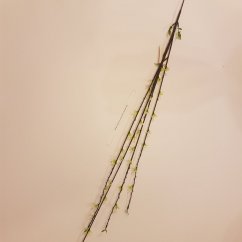 Dekorácia vetvička zelená 89cm umelá