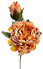 Pezzo di peonia essiccata Esclusiva 1+1 66cm arancione artificiale