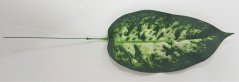 Künstliche Blatt diefenbachie grün 37cm