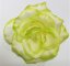 Główka kwiatu róży 3D O 10cm Sztuczna mięta