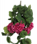 Künstliche Geranien (Pelargonien) Bush "8" Dunkelrosa 27,6 inches (70cm)