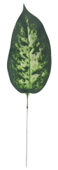 Diefenbachia levél zöld, 37cm művirág