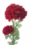 Hortensie artificială de lux x1+1 78cm burgundia flori artificiale