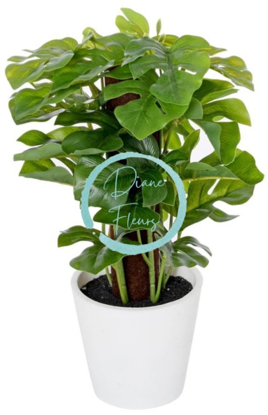 Mesterséges Monstera cserépben 24cm