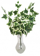 Dekoracija vejice zelena umetna rastlina bršljan pisan list 58cm