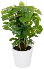 Umjetna Monstera u saksiji 24cm