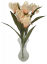Iris kytica umelá 60cm krémová