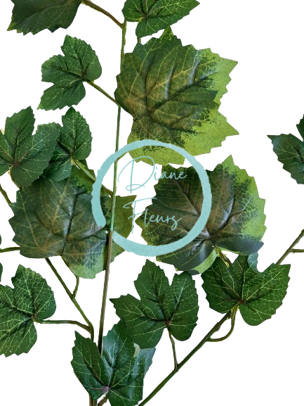 List javor 67cm x 50cm