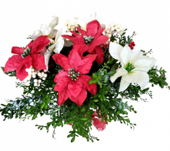 Künstliche Weihnachtssterne im Blumentopf, 45cm x 30cm, Rot, Weiß