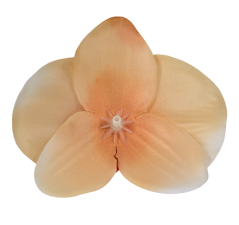 Orchidea hlava květu 10cm x 8cm broskvová umělá - cena je za balení 24ks