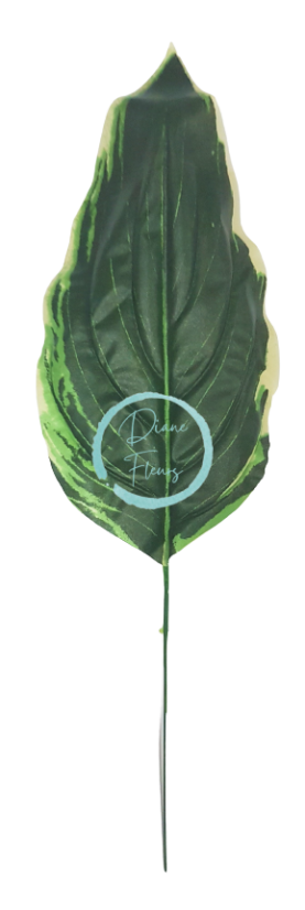 List Hosta zelený 43cm umelý